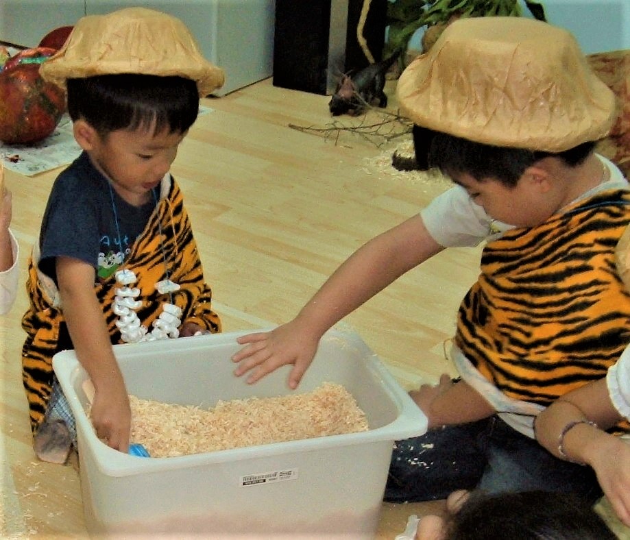 Early literacy Zoo-Phonics